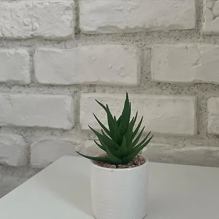 Apartamento Joanna's *